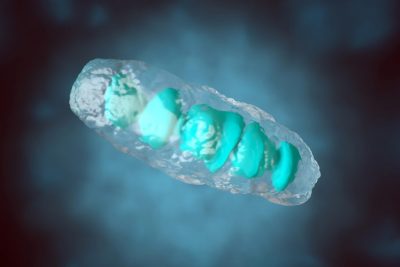 Mitocondria grapphic